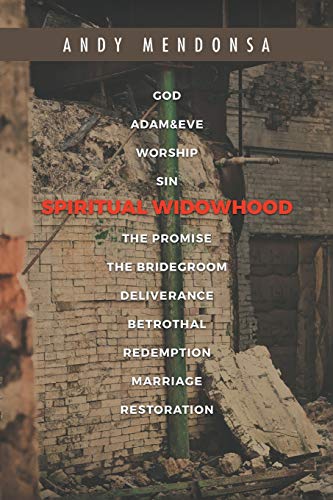 Spiritual Widowhood [Paperback]