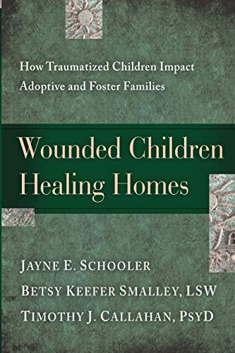 Wounded Children, Healing Homes How Traumatized Children Impact Adoptive and Fo [Paperback]