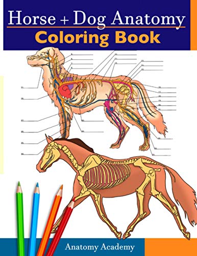 Horse + Dog Anatomy Coloring Book