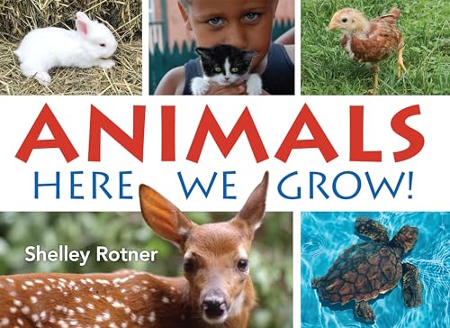 Animals Here We Grow [Paperback]