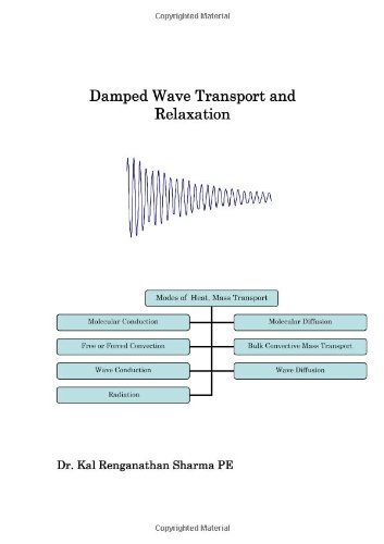 Damped Wave Transport and Relaxation [Hardcover]