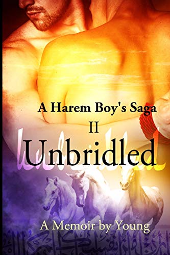Unbridled  A Harem Boy's Saga Book 2 [Paperback]