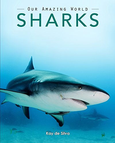 Sharks Amazing Pictures & Fun Facts On Animals In Nature [Paperback]