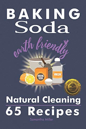 Baking Soda Earth Friendly Natural Cleaning  65 Recipes [Paperback]