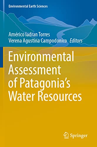 Environmental Assessment of Patagonia's Water Resources [Paperback]