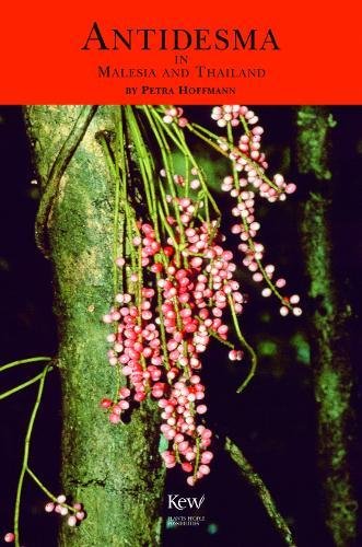 Antidesma in Malesia and Thailand [Paperback]