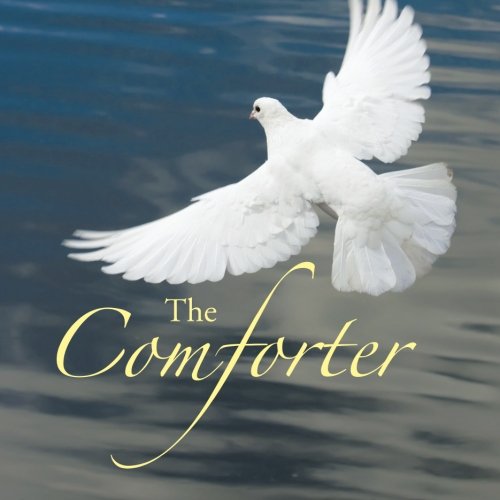 The Comforter [Paperback]