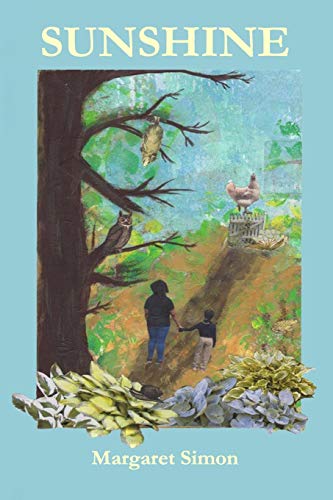 Sunshine  A Blessen Novel [Paperback]