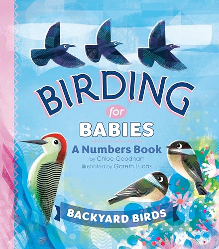 Birding for Babies Backyard Birds A Numbers Book [Board book]