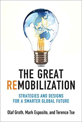 The Great Remobilization Strategies and Designs for a Smarter Global Future [Hardcover]