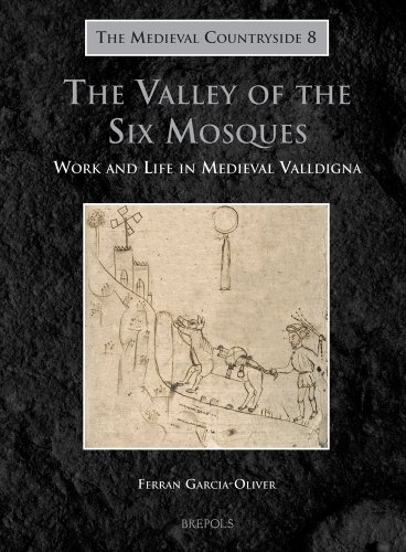 The Valley of the Six Mosques Work and Life in Medieval Valldigna [Hardcover]