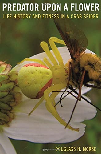 Predator upon a Flower Life History and Fitness in a Crab Spider [Hardcover]