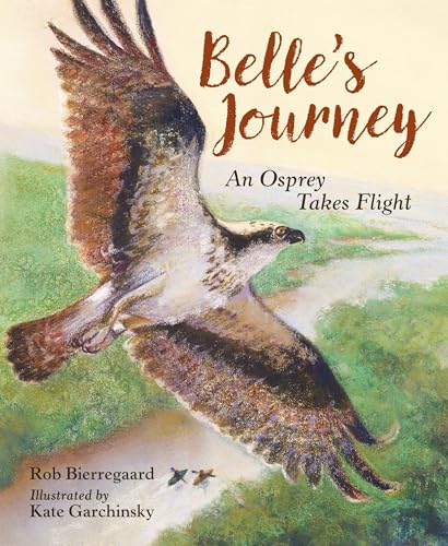 Belle's Journey An Osprey Takes Flight [Hardcover]