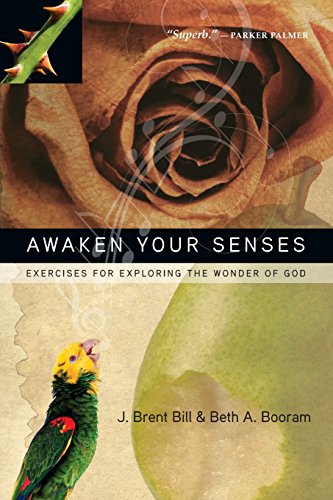 Awaken Your Senses Exercises For Exploring The Wonder Of God [Paperback]