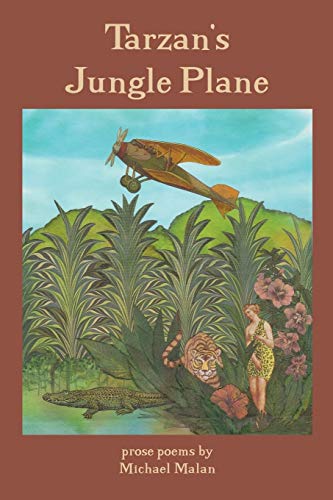 Tarzan's Jungle Plane [Paperback]
