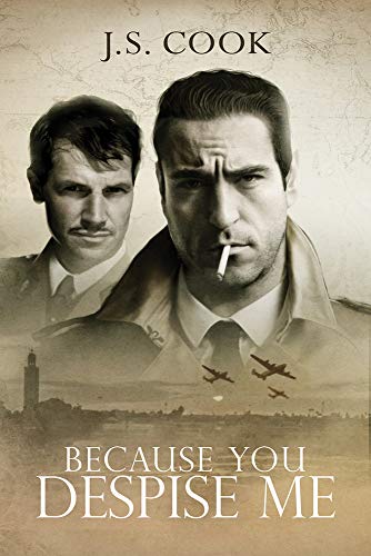 Because You Despise Me [Paperback]