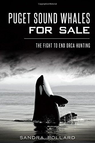 Puget Sound Whales for Sale The Fight to End Orca Hunting [Paperback]