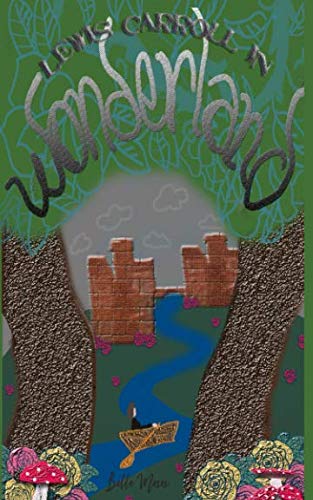 Boy's Journey to Wonderland  Julia Arenas [Paperback]