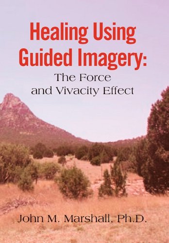Healing Using Guided Imagery  The Force and Vivacity Effect [Hardcover]