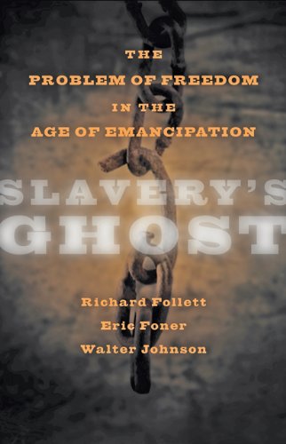 Slavery&aposs Ghost This Problem of Freedom in the Age of Emancipation [Paperback]