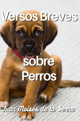 Versos Breves Sobre Perros