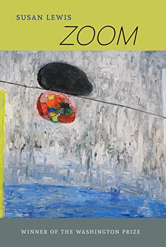 Zoom [Paperback]