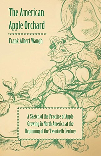 American Apple Orchard [Paperback]