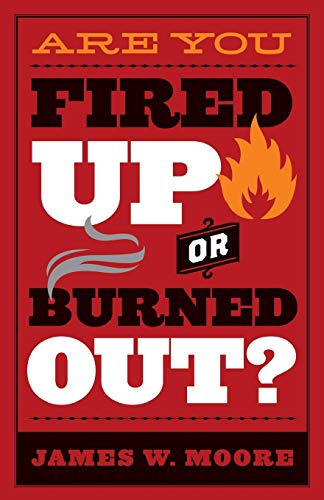 Are You Fired Up Or Burned Out [Paperback]