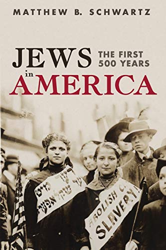 Jews in America  The First 500 Years [Paperback]