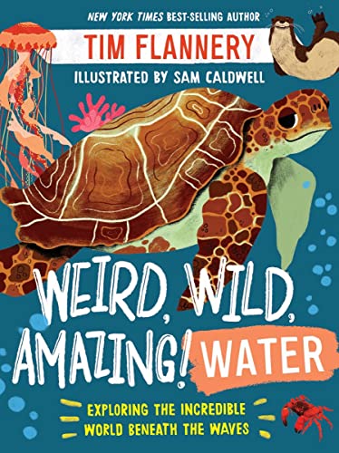 Weird, Wild, Amazing Water Exploring the Incredible World Beneath the Waves [Paperback]