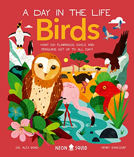 Birds (A Day in the Life) What Do Flamingos, Owls, and Penguins Get Up To All D [Hardcover]