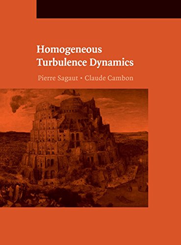 Homogeneous Turbulence Dynamics [Hardcover]