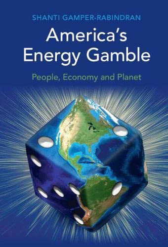 America's Energy Gamble People, Economy and Planet [Hardcover]