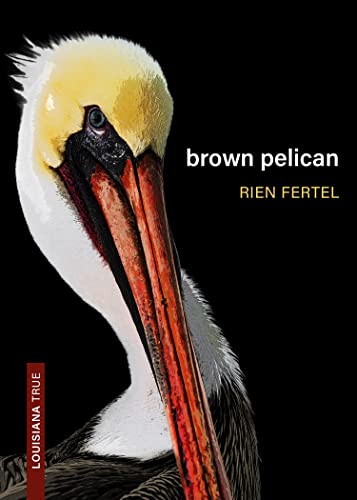 Brown Pelican                            [TRADE PAPER         ]