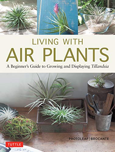 Living with Air Plants A Beginner's Guide to Growing and Displaying Tillandsia [Hardcover]