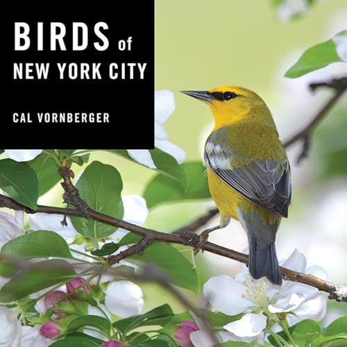 Birds of New York City [Hardcover]