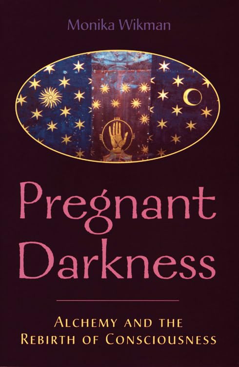 The Pregnant Darkness Alchemy and the Rebirth of Consciousness [Paperback]