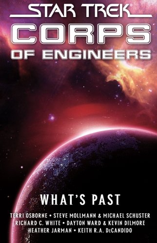 Star Trek SCE What&39s Past [Paperback]