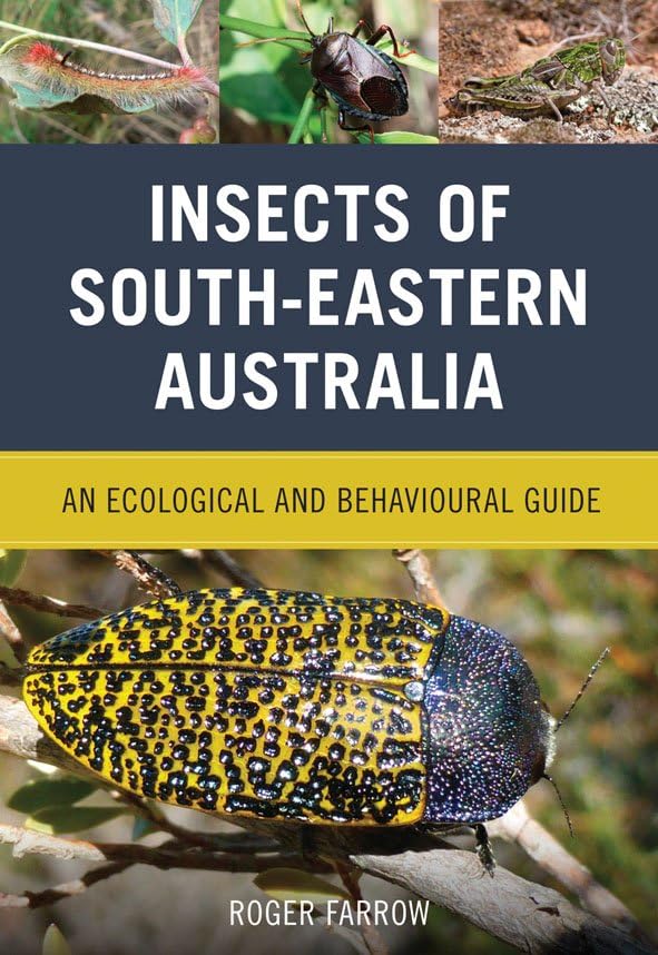 Insects of South-Eastern Australia An Ecological and Behavioural Guide [Paperback]