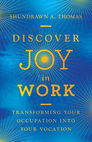 Discover Joy in Work  Transforming Your Occupation into Your Vocation [Hardcover]