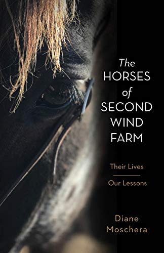 The Horses of Second Wind Farm Their Lives  Our Lessons [Hardcover]