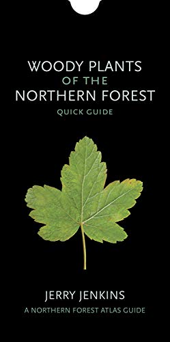 Woody Plants of the Northern Forest  Quick Guide [Unknown]