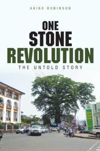 One Stone Revolution The Untold Story [Paperback]