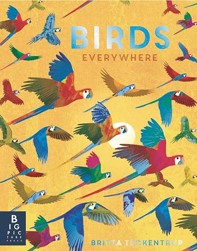 Birds Everywhere [Hardcover]