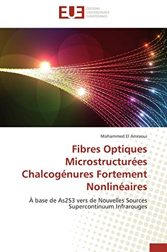 Fibres Optiques Microstructures Chalcognures Fortement Nonlinaires  Base De [Paperback]