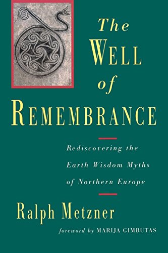 Well of Remembrance Rediscovering the Earth Wisdom Myths of Northern Europe [Paperback]