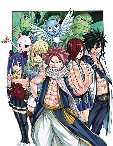FAIRY TAIL 100 Years Quest 2 [Paperback]