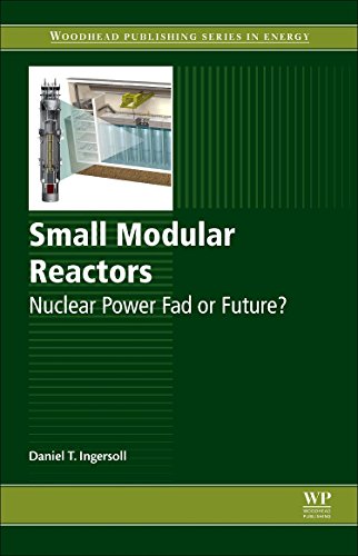 Small Modular Reactors Nuclear Power Fad or Future [Hardcover]