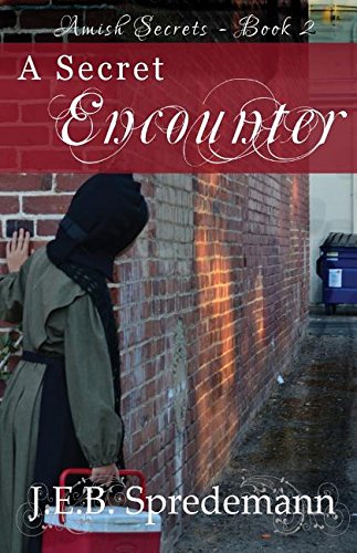 A Secret Encounter (amish Secrets - Book 2) [Paperback]
