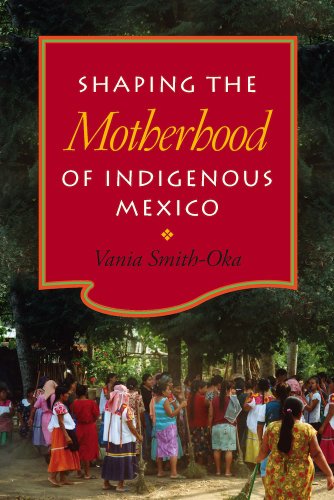 Shaping The Motherhood Of Indigenous Mexico [Library Binding]